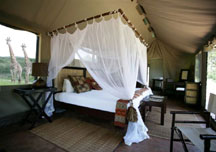 Thula Thula Private Game Reserve
