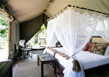 Thula Thula Private Game Reserve