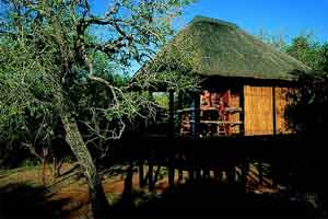 Nselweni Bush Lodge-Hluhluwe Accommodation-KwaZulu Natal-South Africa