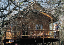 treehouse.jpg
