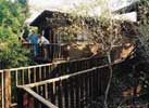 treehouses-and-lodges-3-100h.jpg