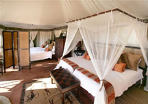 family_tent1.jpg