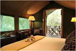 tent2.jpg